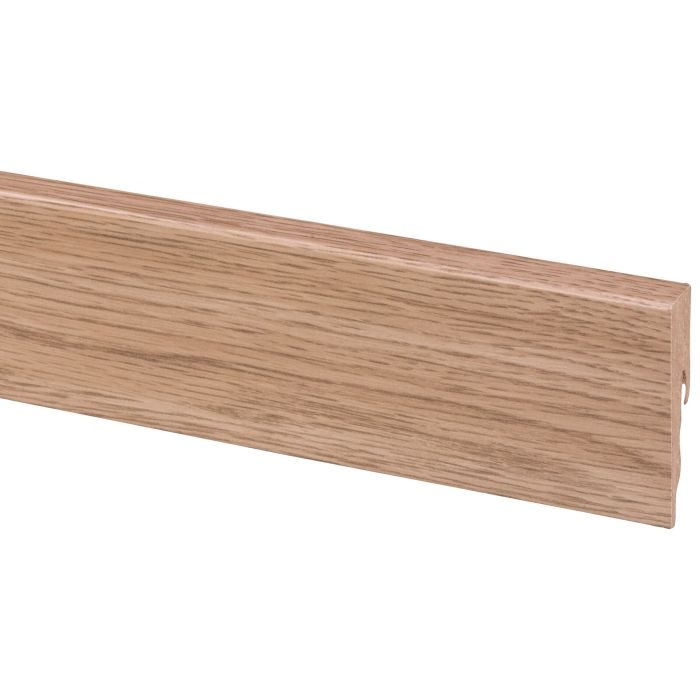 Plinten